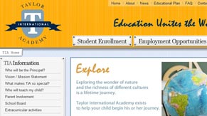 website image