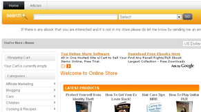 website image
